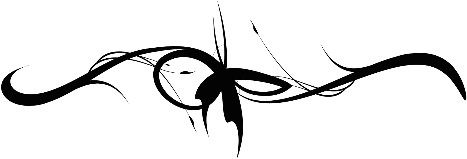 SeekPng.com decorative line png 143960